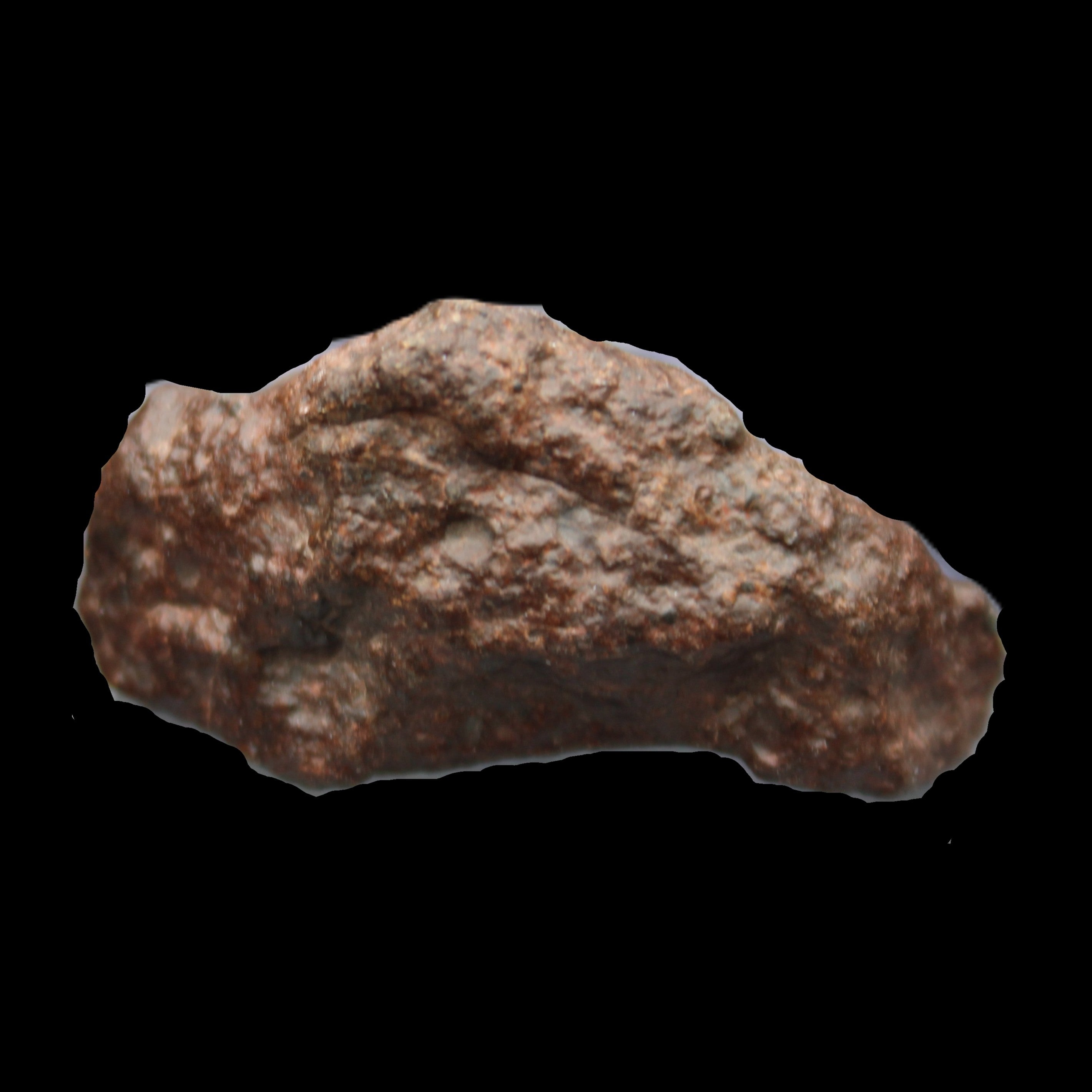Chondrite Meteorite NWA Unclassified from Erfoud, Morocco 45*31*25mm 40g in sunlight - Rocks and Things Store
