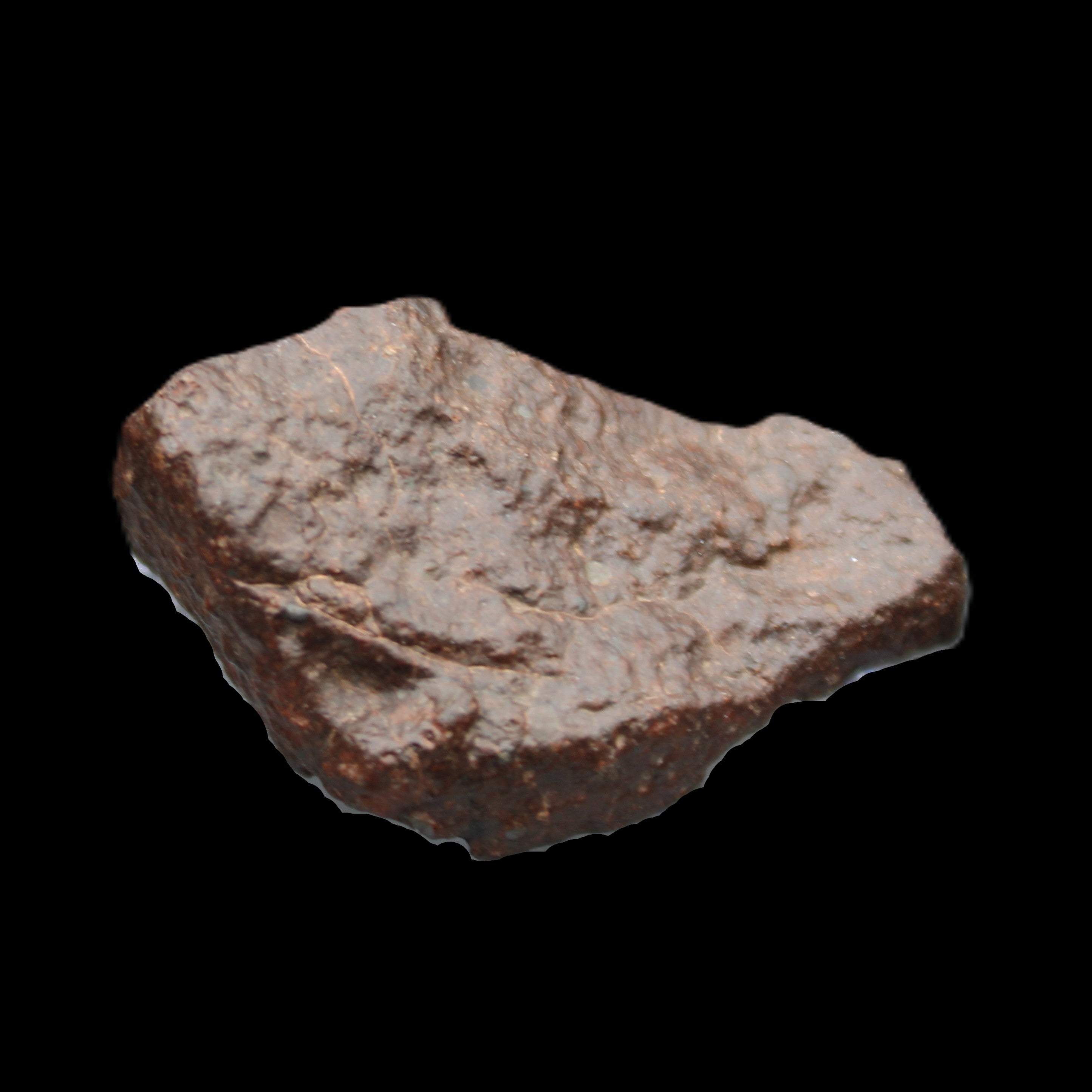 Chondrite Meteorite NWA Unclassified from Erfoud, Morocco 45*31*25mm 40g in sunlight - Rocks and Things Store