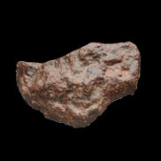 Chondrite Meteorite NWA Unclassified from Erfoud, Morocco 45*31*25mm 40g in sunlight - Rocks and Things Store