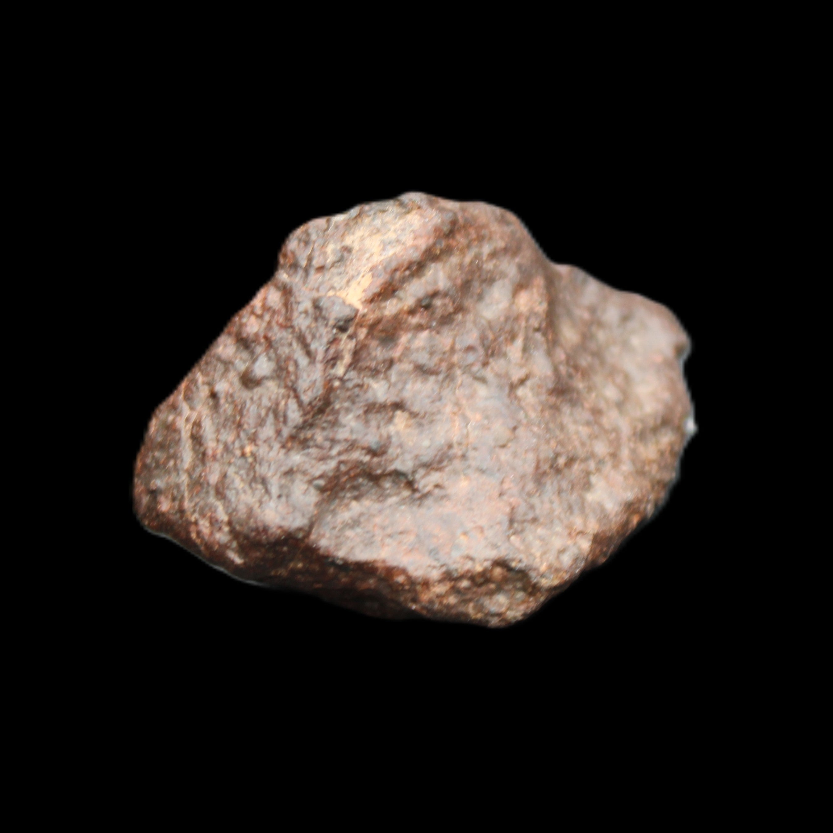 Chondrite Meteorite NWA Unclassified from Erfoud, Morocco 45*31*25mm 40g in sunlight - Rocks and Things Store