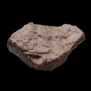 Chondrite Meteorite NWA Unclassified from Erfoud, Morocco 45*31*25mm 40g in sunlight - Rocks and Things Store