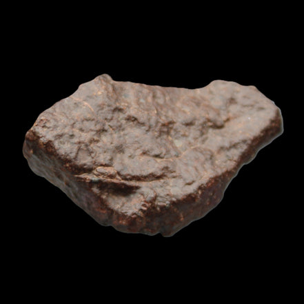Chondrite Meteorite NWA Unclassified from Erfoud, Morocco 45*31*25mm 40g in sunlight - Rocks and Things Store