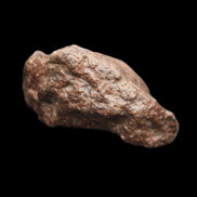 Chondrite Meteorite NWA Unclassified from Erfoud, Morocco 45*31*25mm 40g in sunlight - Rocks and Things Store