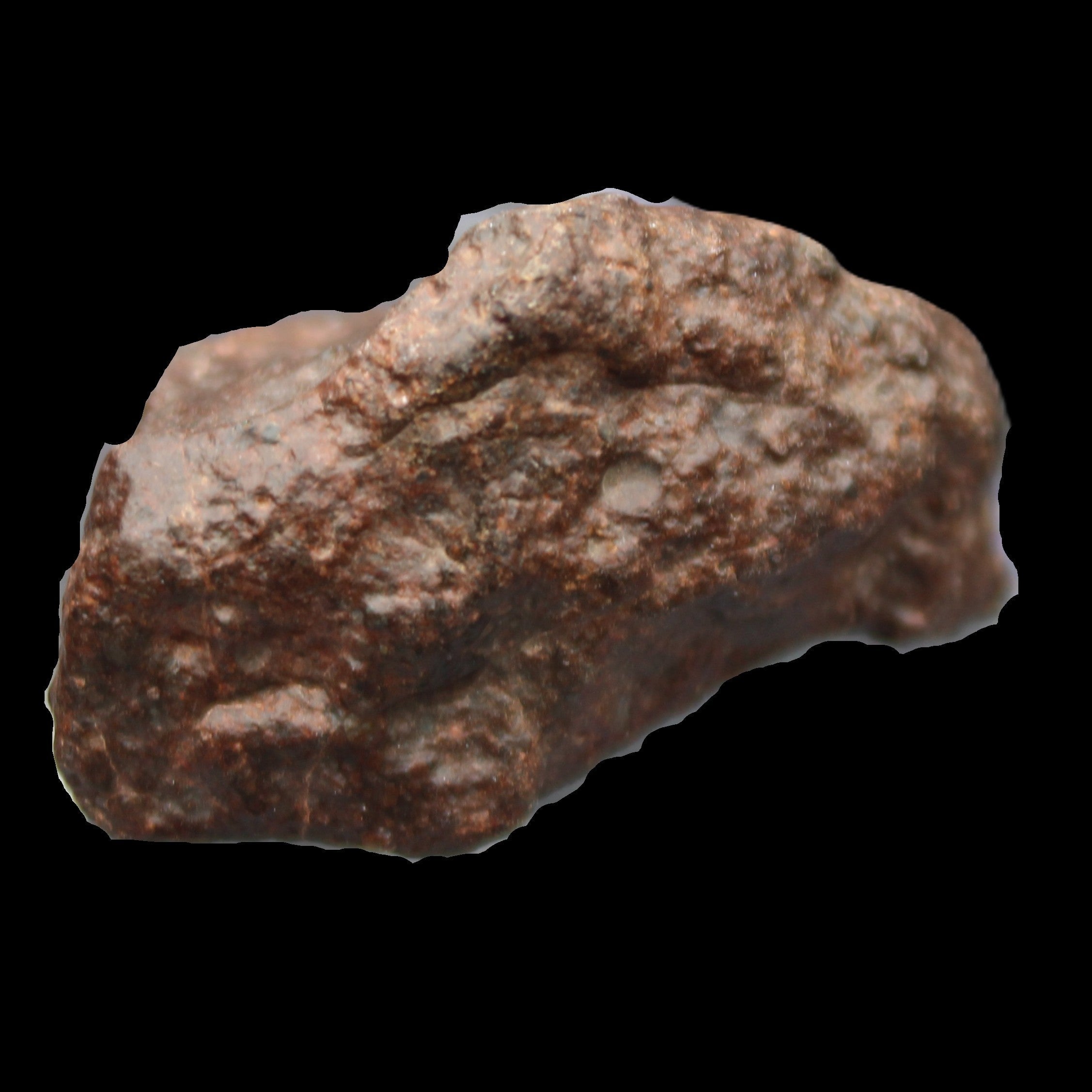 Chondrite Meteorite NWA Unclassified from Erfoud, Morocco 45*31*25mm 40g in sunlight - Rocks and Things Store
