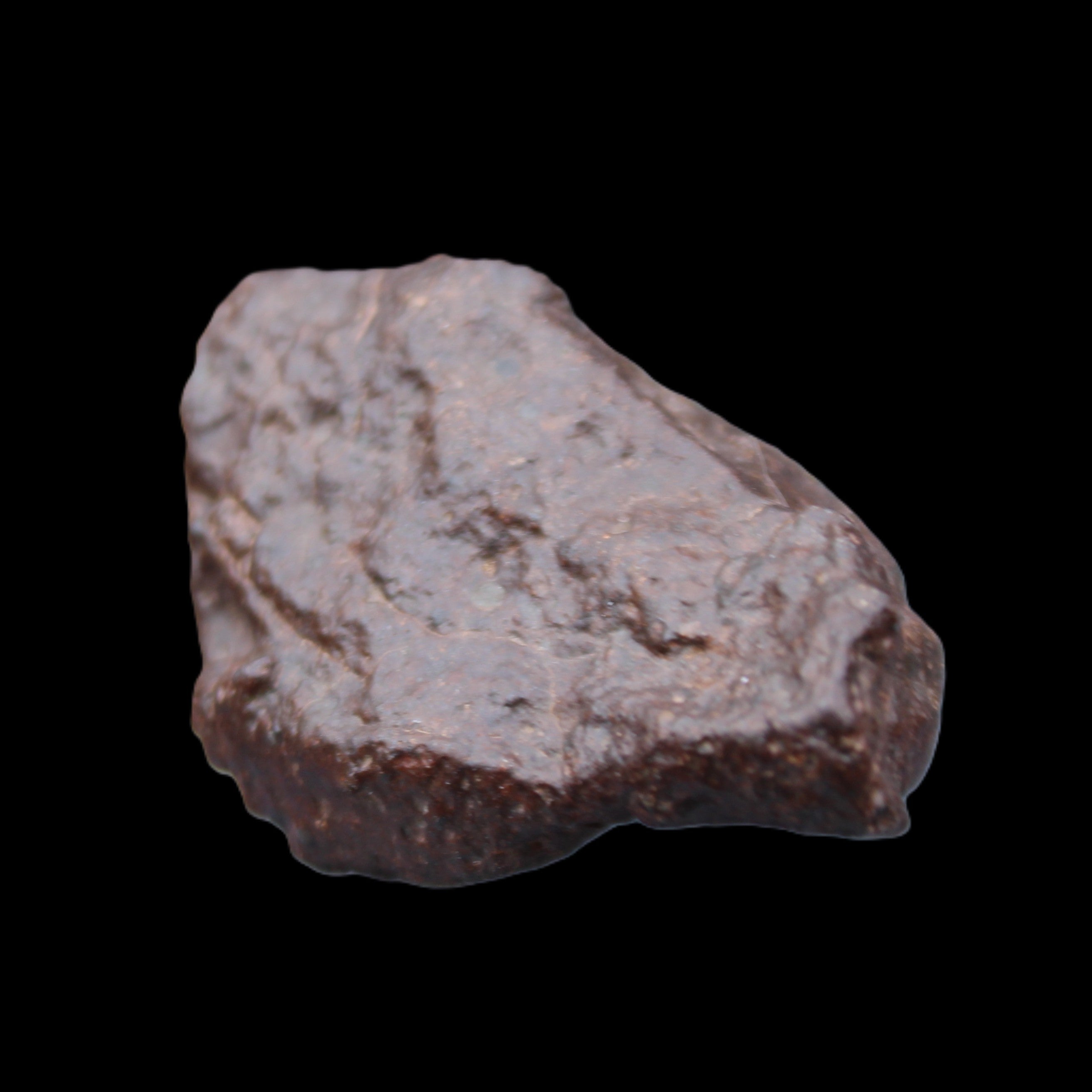 Chondrite Meteorite NWA Unclassified from Erfoud, Morocco 45*31*25mm 40g in sunlight - Rocks and Things Store