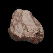 Chondrite Meteorite NWA Unclassified from Erfoud, Morocco 45*31*25mm 40g in sunlight - Rocks and Things Store