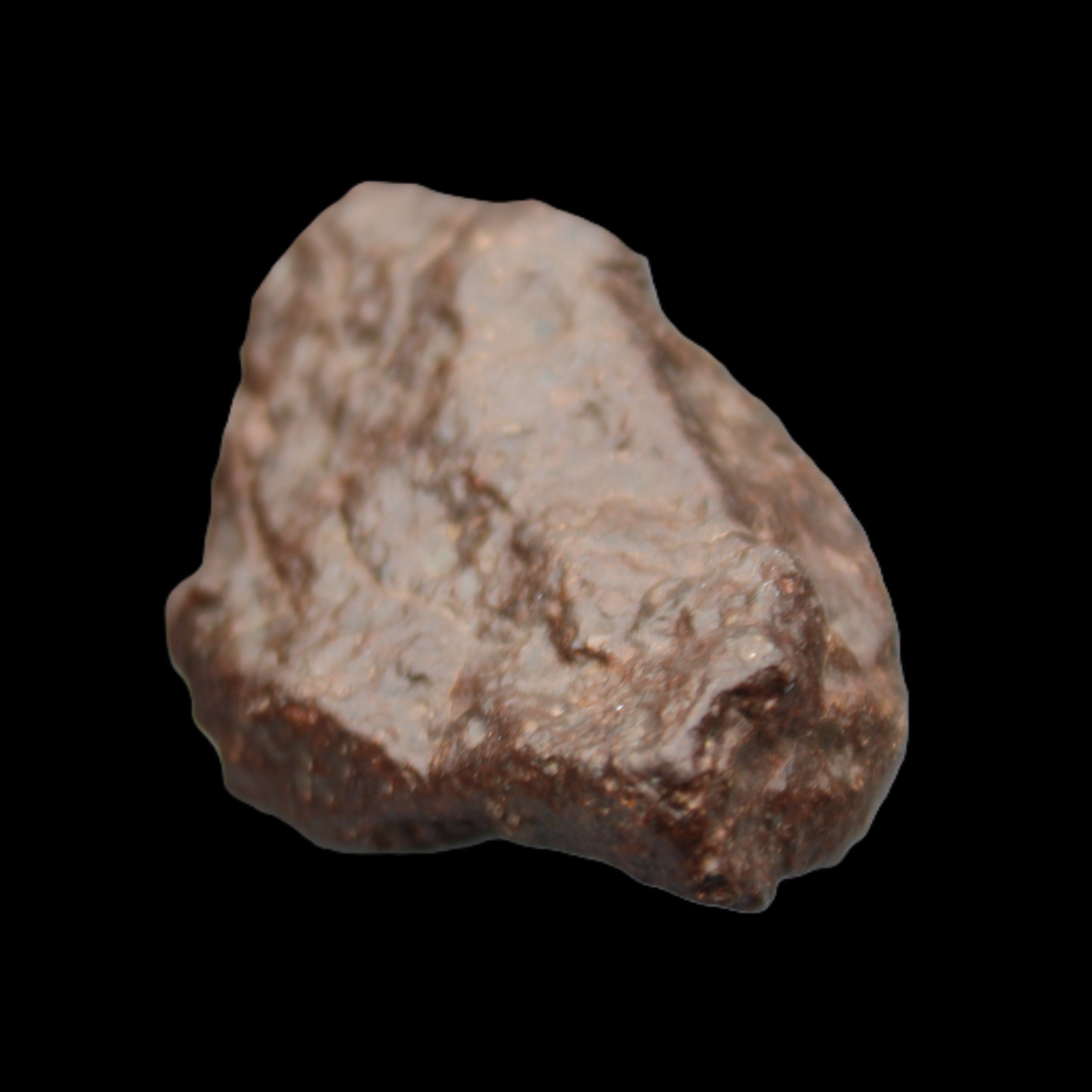 Chondrite Meteorite NWA Unclassified from Erfoud, Morocco 45*31*25mm 40g in sunlight - Rocks and Things Store