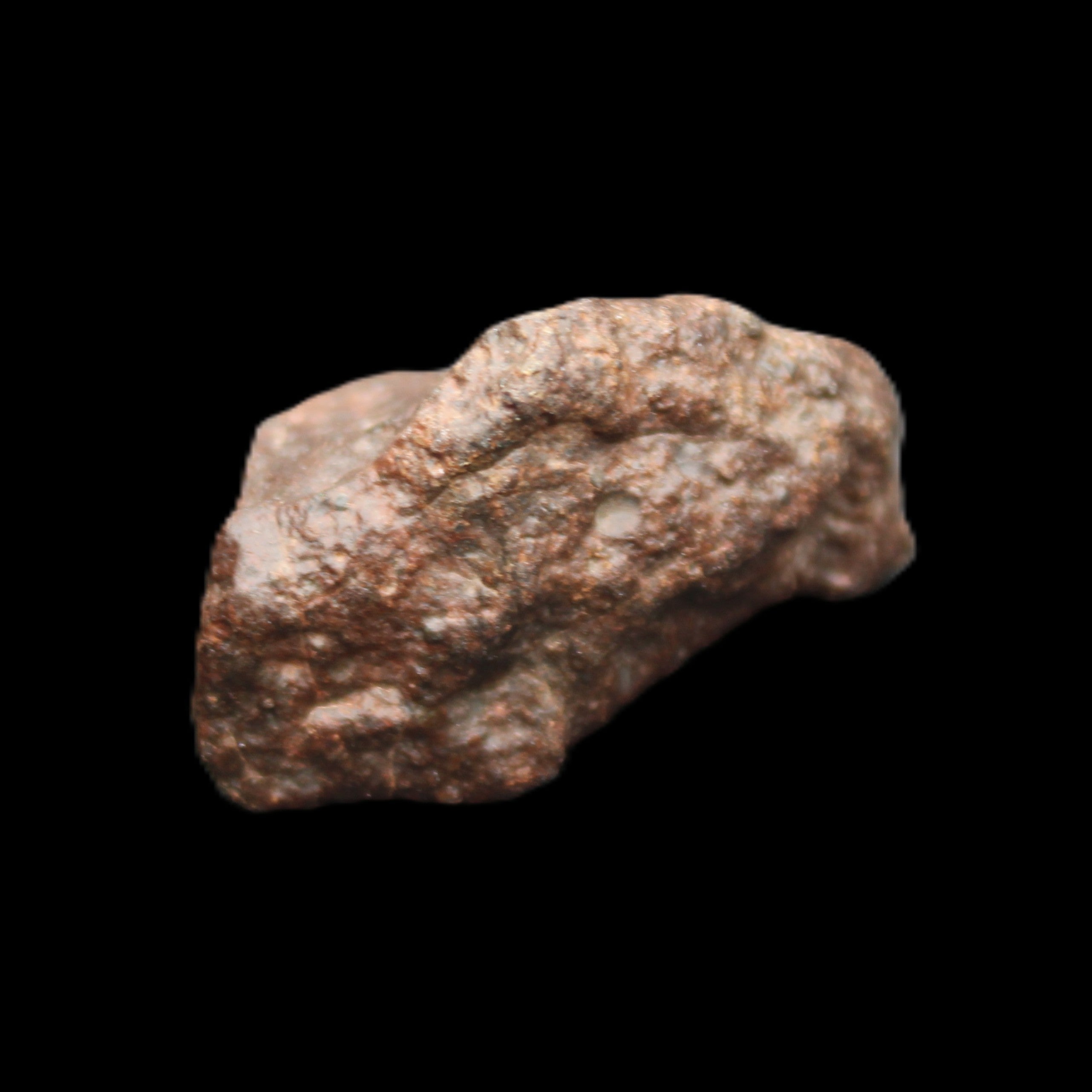 Chondrite Meteorite NWA Unclassified from Erfoud, Morocco 45*31*25mm 40g in sunlight - Rocks and Things Store
