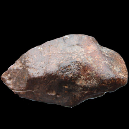 Chondrite Meteorite NWA Unclassified from Erfoud, Morocco 78*40*33mm 212g in sunlight - Rocks and Things Store