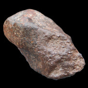 Chondrite Meteorite NWA Unclassified from Erfoud, Morocco 78*40*33mm 212g in sunlight - Rocks and Things Store