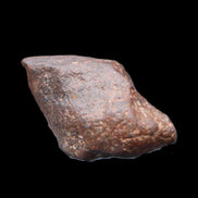 Chondrite Meteorite NWA Unclassified from Erfoud, Morocco 78*40*33mm 212g in sunlight - Rocks and Things Store