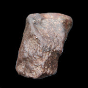 Chondrite Meteorite NWA Unclassified from Erfoud, Morocco 78*40*33mm 212g in sunlight - Rocks and Things Store