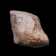 Chondrite Meteorite NWA Unclassified from Erfoud, Morocco 78*40*33mm 212g in sunlight - Rocks and Things Store