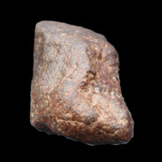 Chondrite Meteorite NWA Unclassified from Erfoud, Morocco 78*40*33mm 212g in sunlight - Rocks and Things Store