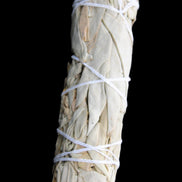 White Sage Smudge Stick 25-28*100mm in sunlight - Rocks and Things Store
