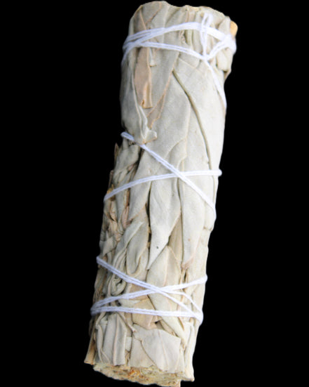 White Sage Smudge Stick 25-28*100mm in sunlight - Rocks and Things Store