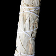 White Sage Smudge Stick 25-28*100mm in sunlight - Rocks and Things Store