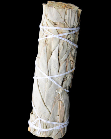 White Sage Smudge Stick 25-28*100mm in sunlight - Rocks and Things Store