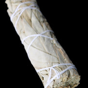 White Sage Smudge Stick 25-28*100mm in sunlight - Rocks and Things Store