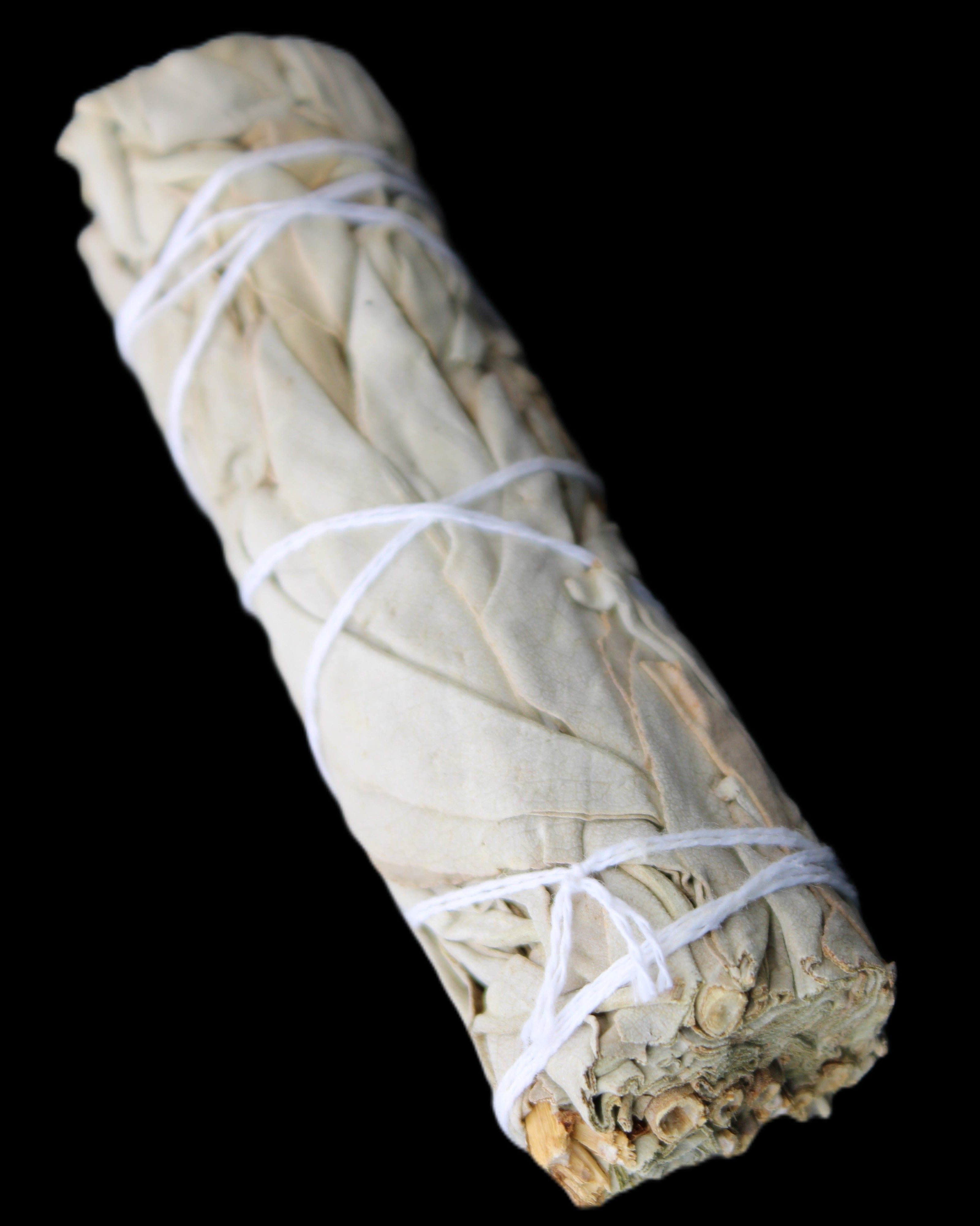 White Sage Smudge Stick 25-28*100mm in sunlight - Rocks and Things Store