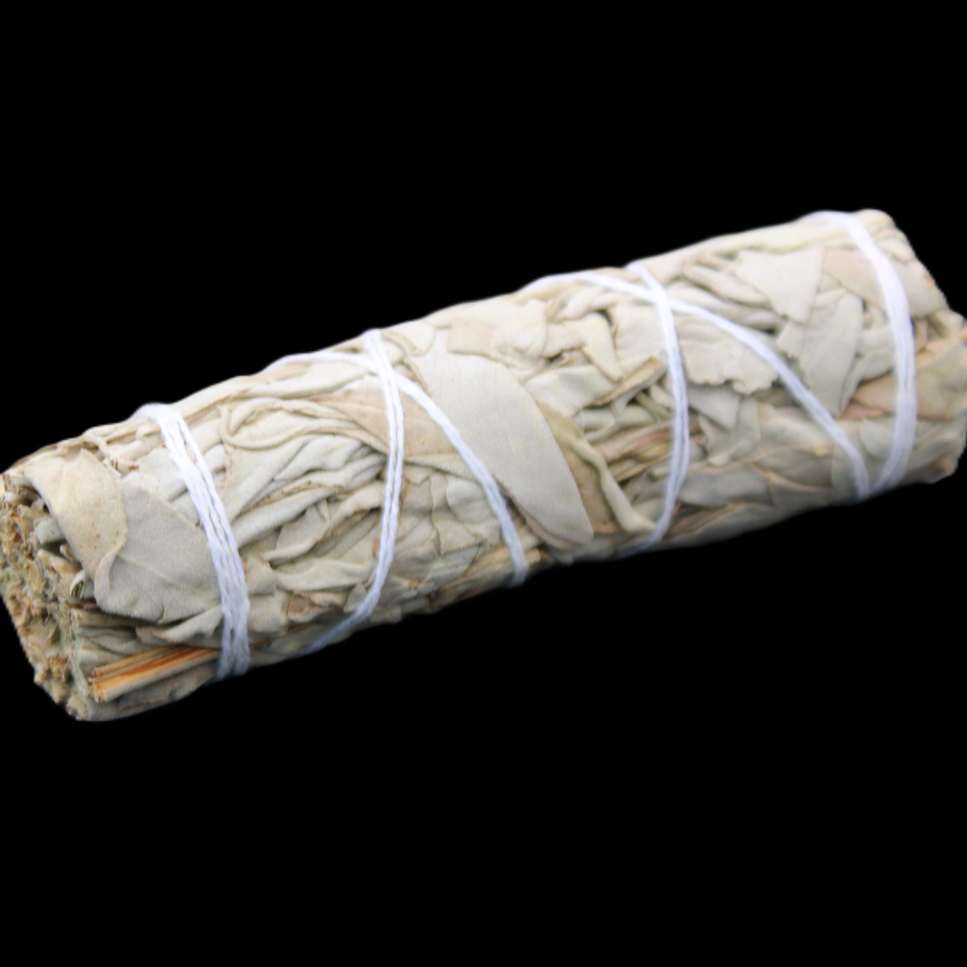 White Sage Smudge Stick 25-28*100mm in sunlight - Rocks and Things Store