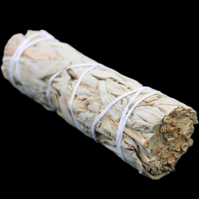 White Sage Smudge Stick 25-28*100mm in sunlight - Rocks and Things Store