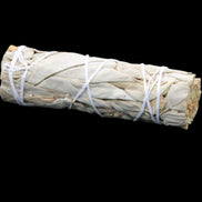 White Sage Smudge Stick 25-28*100mm in sunlight - Rocks and Things Store
