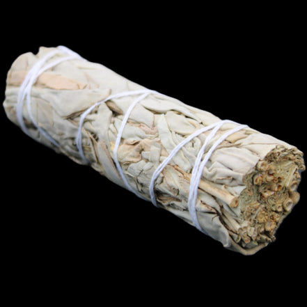 White Sage Smudge Stick 25-28*100mm in sunlight - Rocks and Things Store