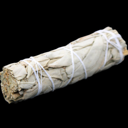 White Sage Smudge Stick 25-28*100mm in sunlight - Rocks and Things Store