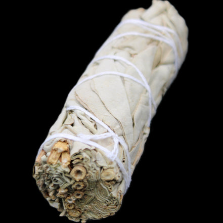 White Sage Smudge Stick 25-28*100mm in sunlight - Rocks and Things Store