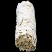 White Sage Smudge Stick 25-28*100mm in sunlight - Rocks and Things Store