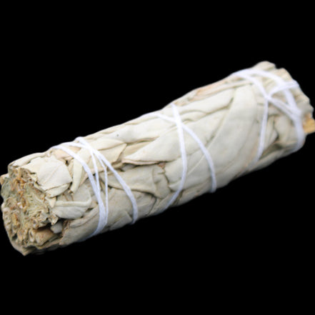 White Sage Smudge Stick 25-28*100mm in sunlight - Rocks and Things Store