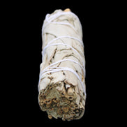 White Sage Smudge Stick 25-28*100mm in sunlight - Rocks and Things Store