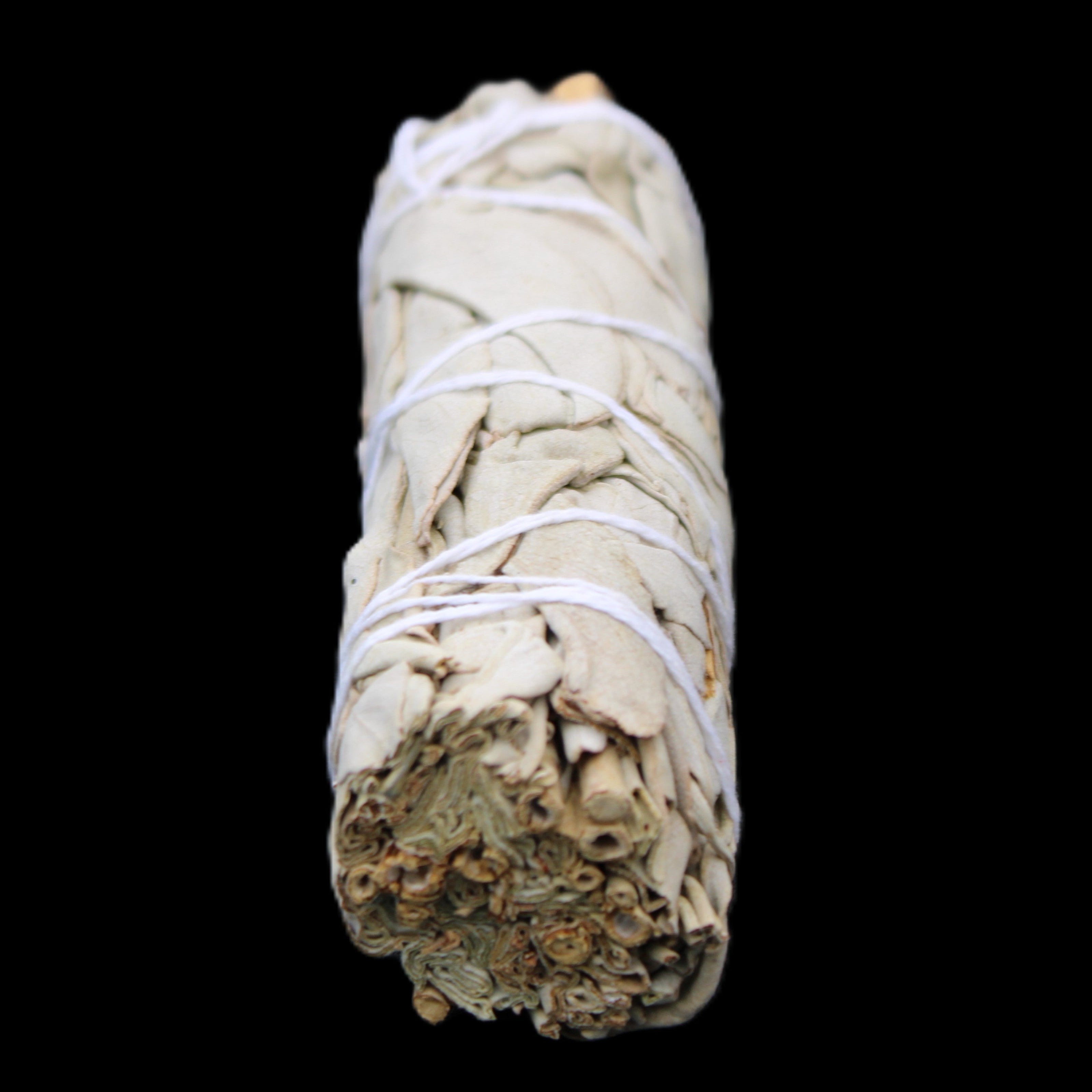 White Sage Smudge Stick 25-28*100mm in sunlight - Rocks and Things Store