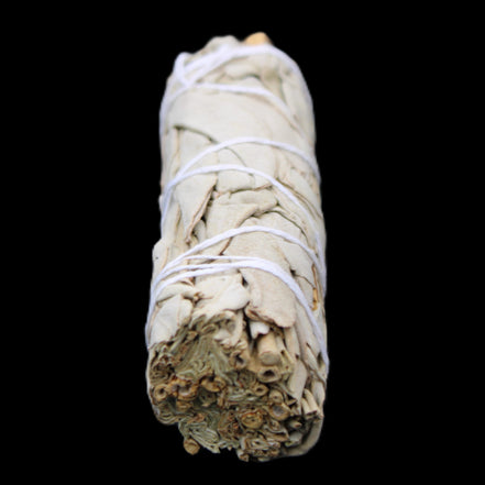 White Sage Smudge Stick 25-28*100mm in sunlight - Rocks and Things Store