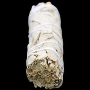 White Sage Smudge Stick 25-28*100mm in sunlight - Rocks and Things Store