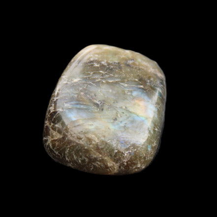 Labradorite tumbled stone 20-30g in sunlight - Rocks and Things Store