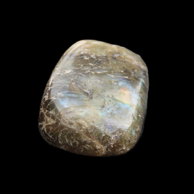 Labradorite tumbled stone 20-30g in sunlight - Rocks and Things Store