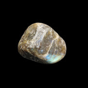 Labradorite tumbled stone 20-30g in sunlight - Rocks and Things Store