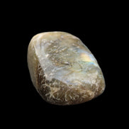 Labradorite tumbled stone 20-30g in sunlight - Rocks and Things Store