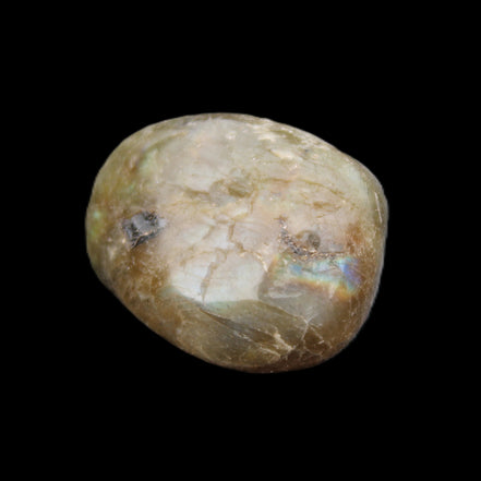 Labradorite tumbled stone 10-20g in sunlight - Rocks and Things Store