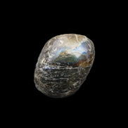 Labradorite tumbled stone 10-20g in sunlight - Rocks and Things Store