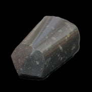 Black Tourmaline polished generator crystal 40*35*70mm 187g in sunlight - Rocks and Things Store