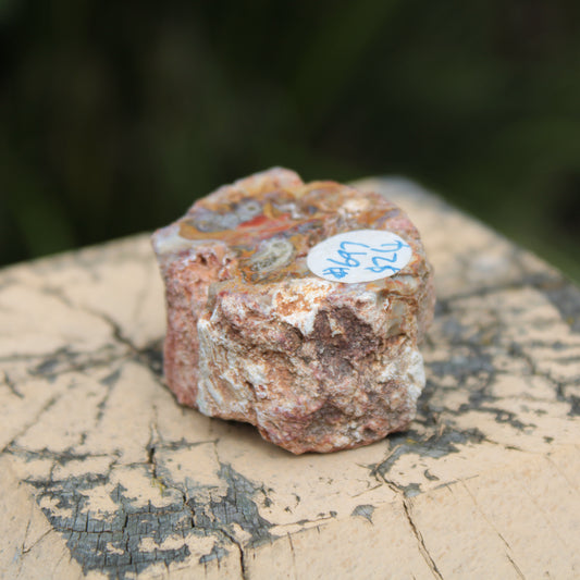 Petrified Wood polished slice from Madagascar 54-58g Rocks and Things