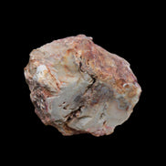 Petrified Wood polished slice from Madagascar 54-58g in sunlight - Rocks and Things Store