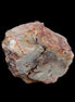 Petrified Wood polished slice from Madagascar 54-58g in sunlight - Rocks and Things Store