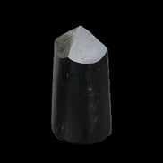 Black Tourmaline polished generator crystal 35*32*65mm 149g in sunlight - Rocks and Things Store
