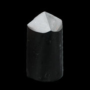 Black Tourmaline polished generator crystal 35*32*65mm 149g in sunlight - Rocks and Things Store