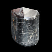 Black Tourmaline polished generator crystal 39*30*49mm 123g in sunlight - Rocks and Things Store