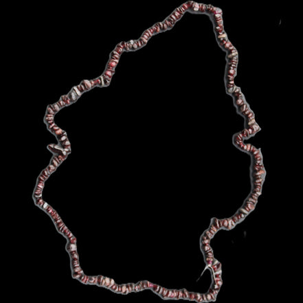 Red Garnet polished crystal chip necklace 83mm 83g in sunlight - Rocks and Things Store